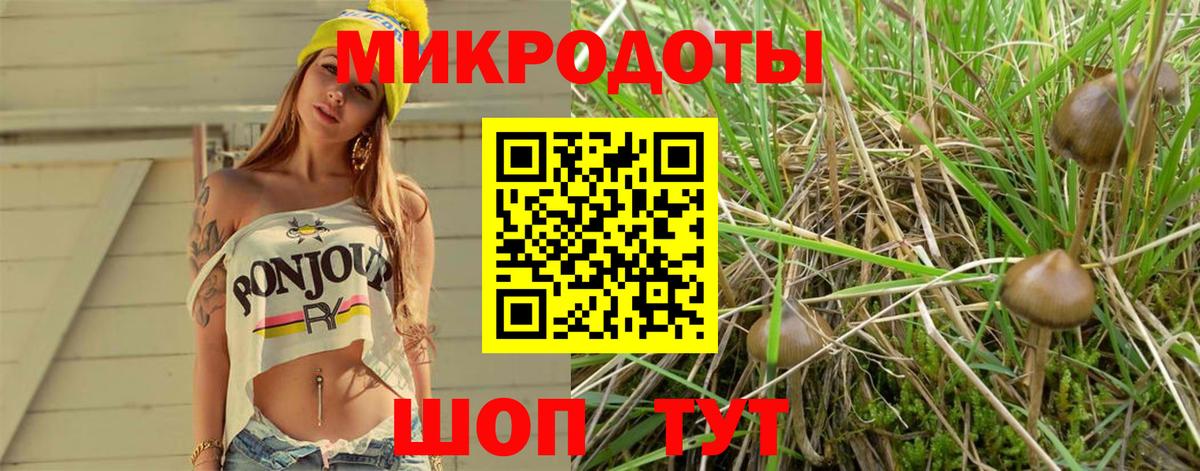 где купить наркотик  Вход с VPN  Липецк  Псилоцибиновые грибы Psilocybe 